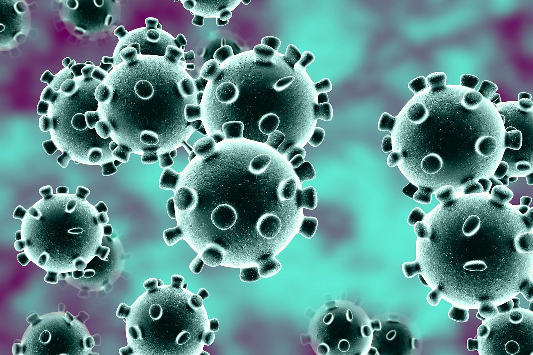 Hoe gaat het Stedelijk om met het coronavirus? Hoe gaat het Stedelijk om met het coronavirus?