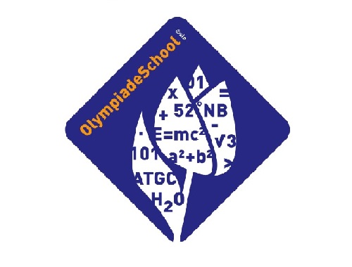 Succes tijdens olympiades Succes tijdens olympiades